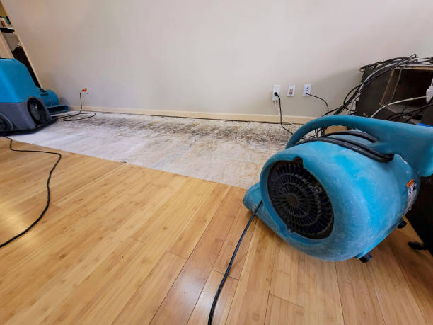 Professional Water Damage Repair technician working in Waldwick, NJ